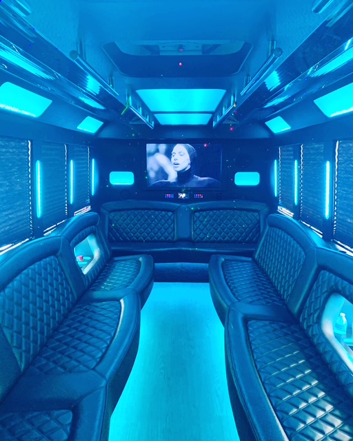 Party Bus Interior — The Executive — 20 Passengers